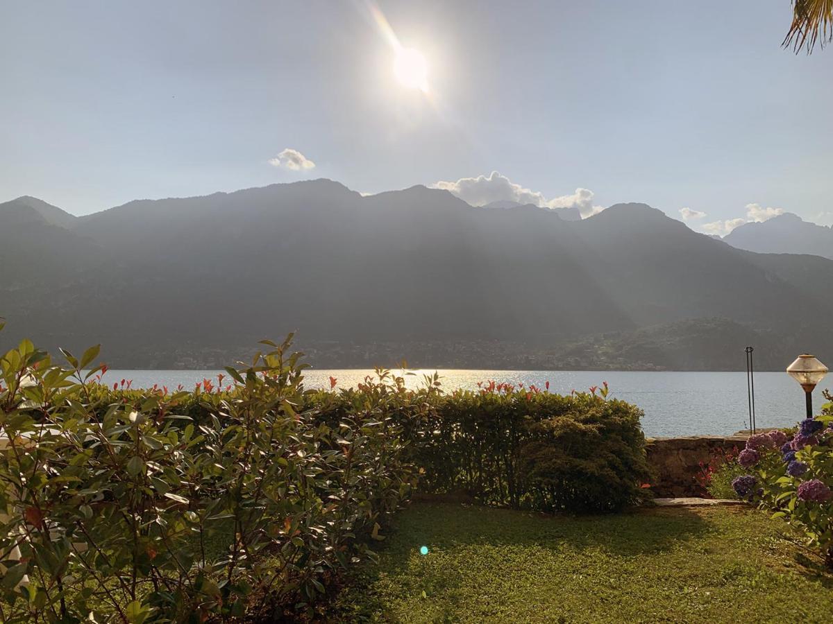 Terrace On The Lake Lejlighed Oliveto Lario Eksteriør billede